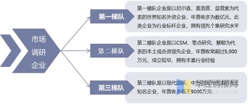 中國(guó)市場(chǎng)調(diào)研行業(yè)發(fā)展現(xiàn)狀及趨勢(shì)分析